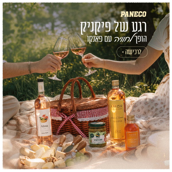 סופש פיקניק